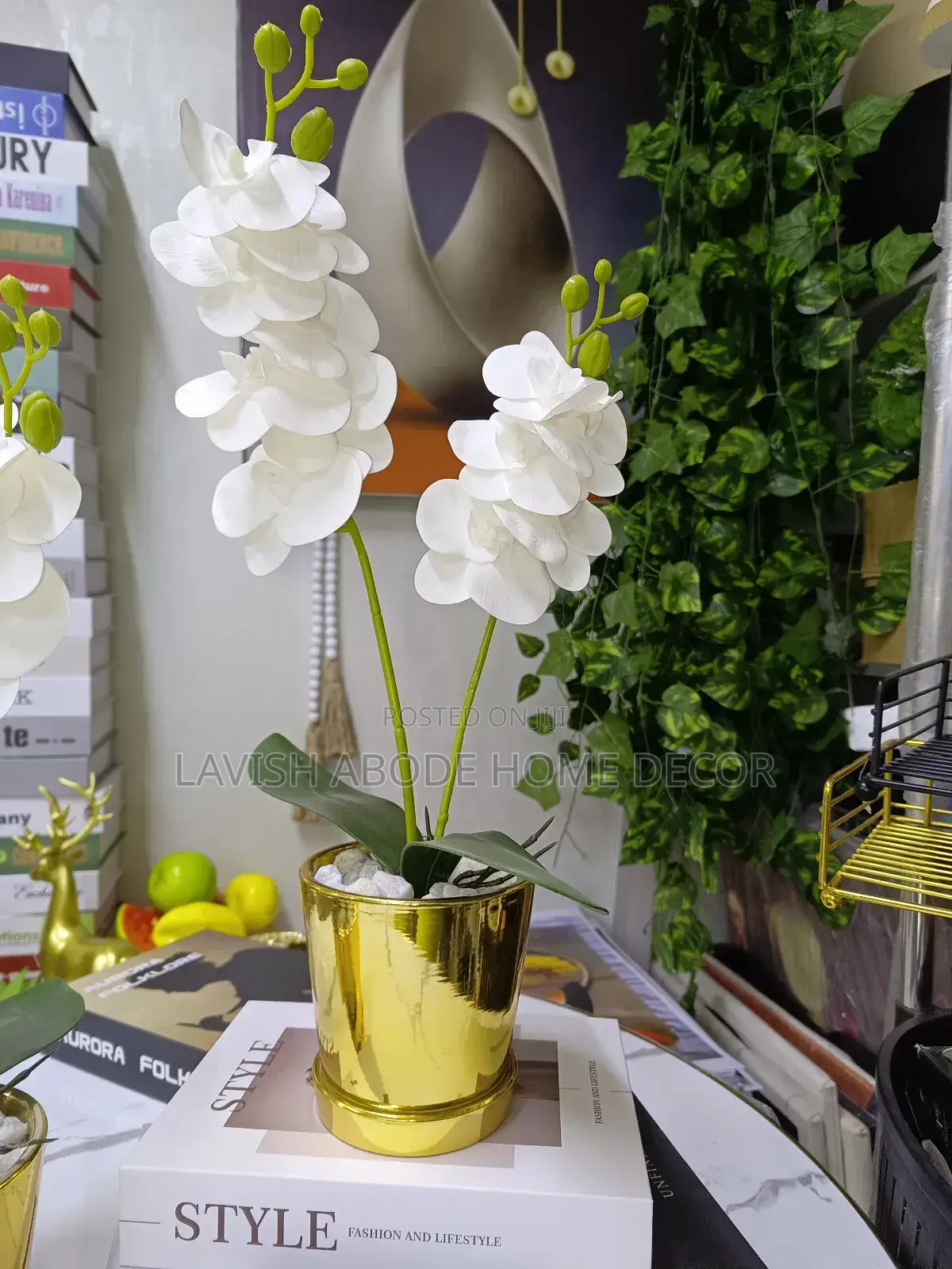 Gold White Orchid Flower