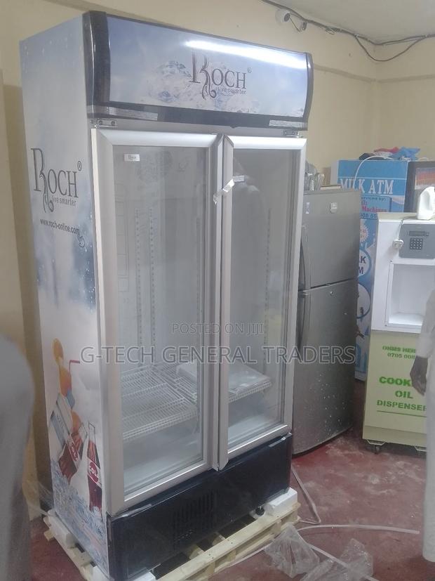 Roch Vertical Showcase Double Door Fridge Rsf-510 - main view