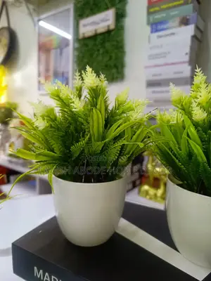 Beautiful Bonsai Flowers for House and Office Decoration