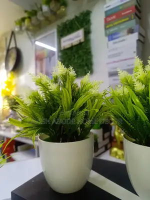 Beautiful Bonsai Flowers for House and Office Decoration
