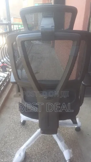 Ergonomics Orthopedic Chair