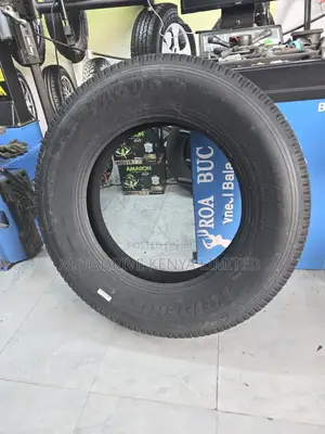 255/70r22.5 Frideric Tyre