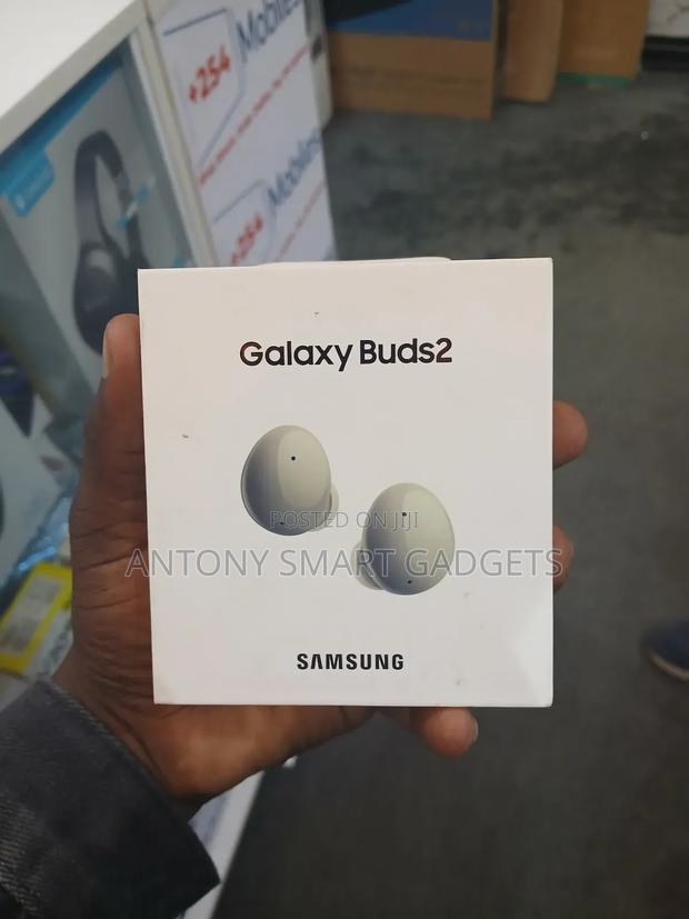 Samsung Galaxy Buds 2 - main view