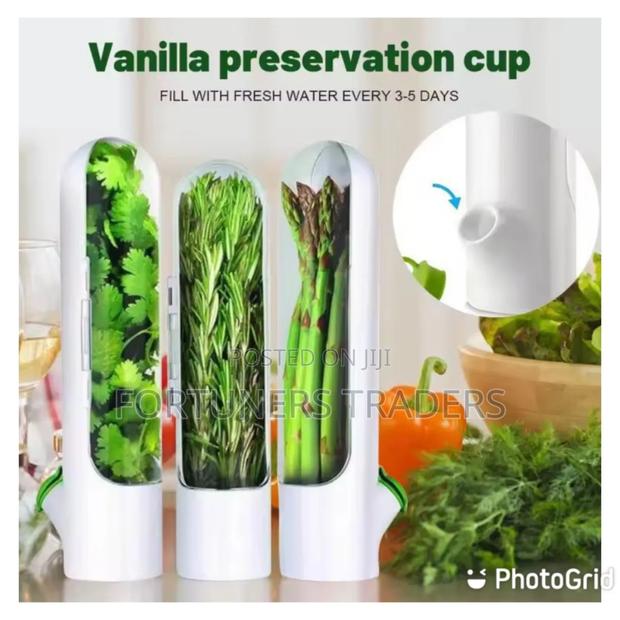 Fresh Herbs Fridge Storage Container *