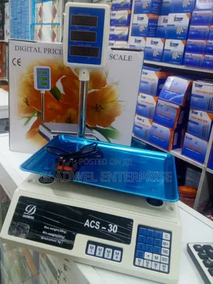 Best Quality Multifunction 30kg Digital Scale