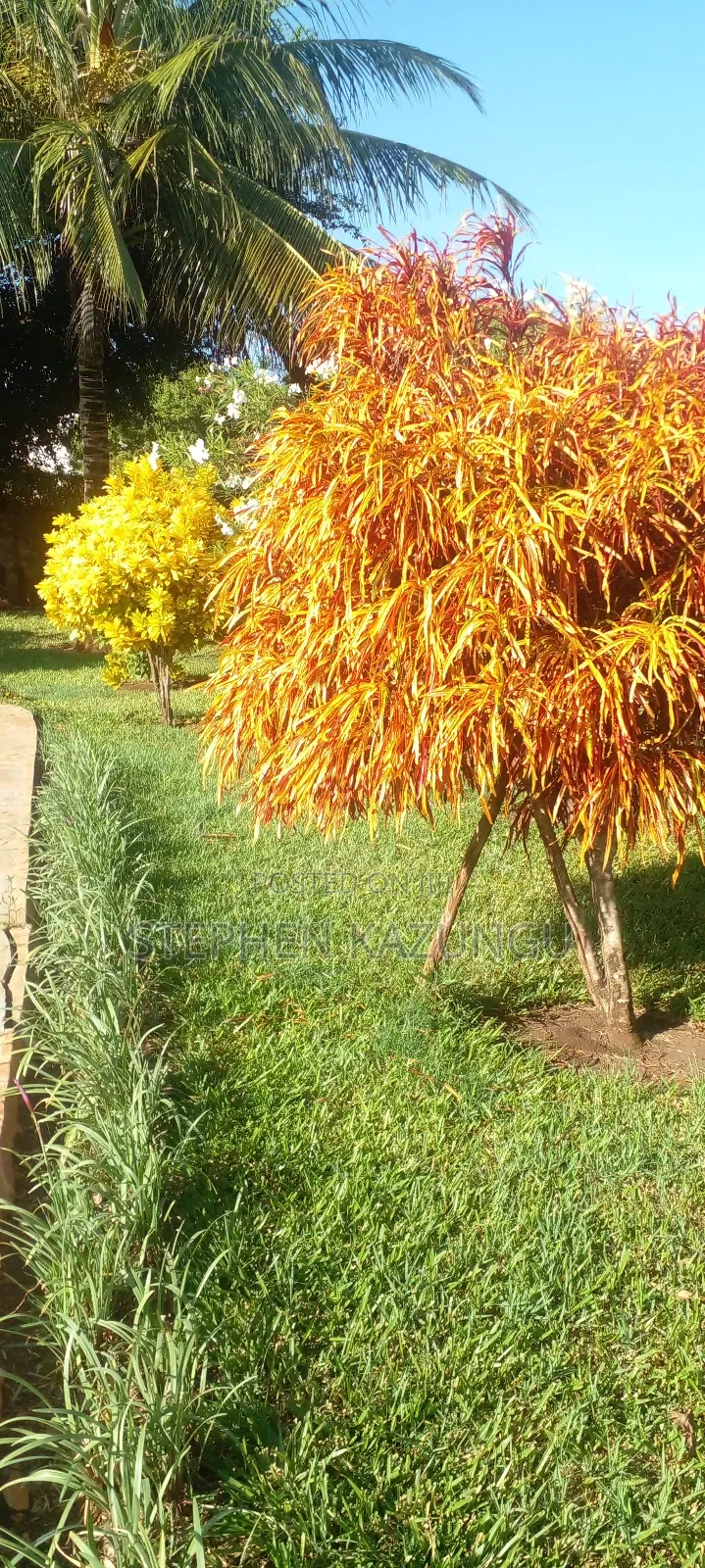 Furnished 5bdrm House in Coconut Groove 3 End, Ukunda for sale