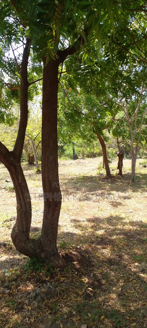 1 Acre Plot On Sale Between Galu Kinondo Beach Zone. - thumbnail 6