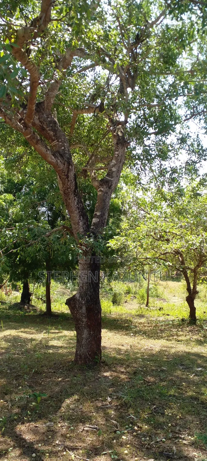 1 Acre Plot On Sale Between Galu Kinondo Beach Zone.
