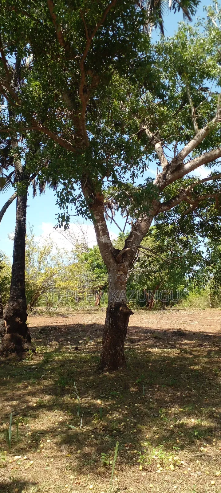 1 Acre Plot On Sale Between Galu Kinondo Beach Zone.