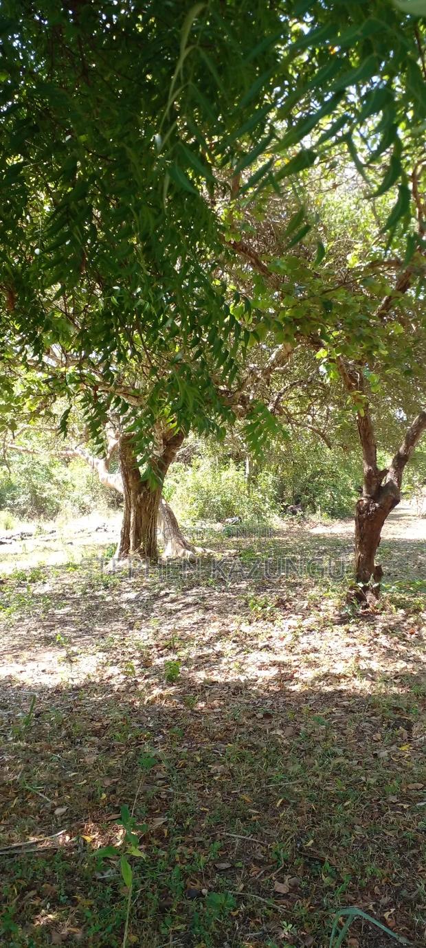 1 Acre Plot On Sale Between Galu Kinondo Beach Zone. - thumbnail 3