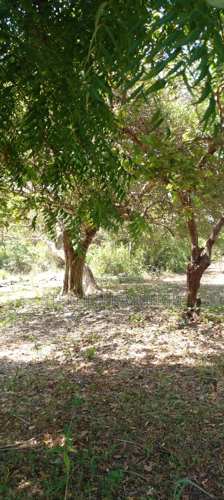 1 Acre Plot On Sale Between Galu Kinondo Beach Zone.