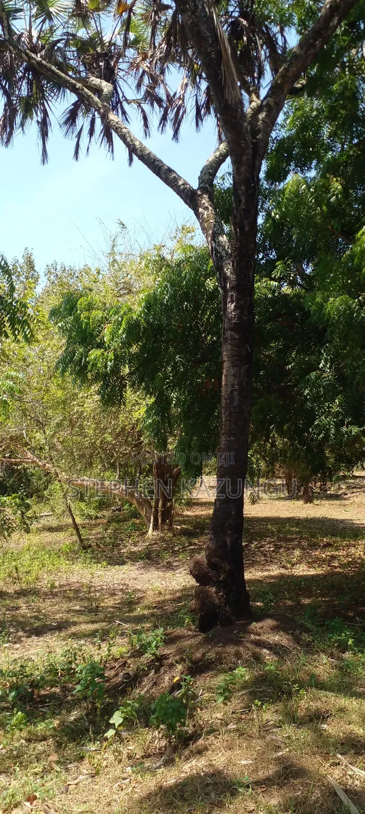 1 Acre Plot On Sale Between Galu Kinondo Beach Zone.
