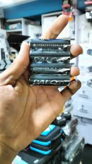 Palo Batteries 3000mah Rechargeable Batteries