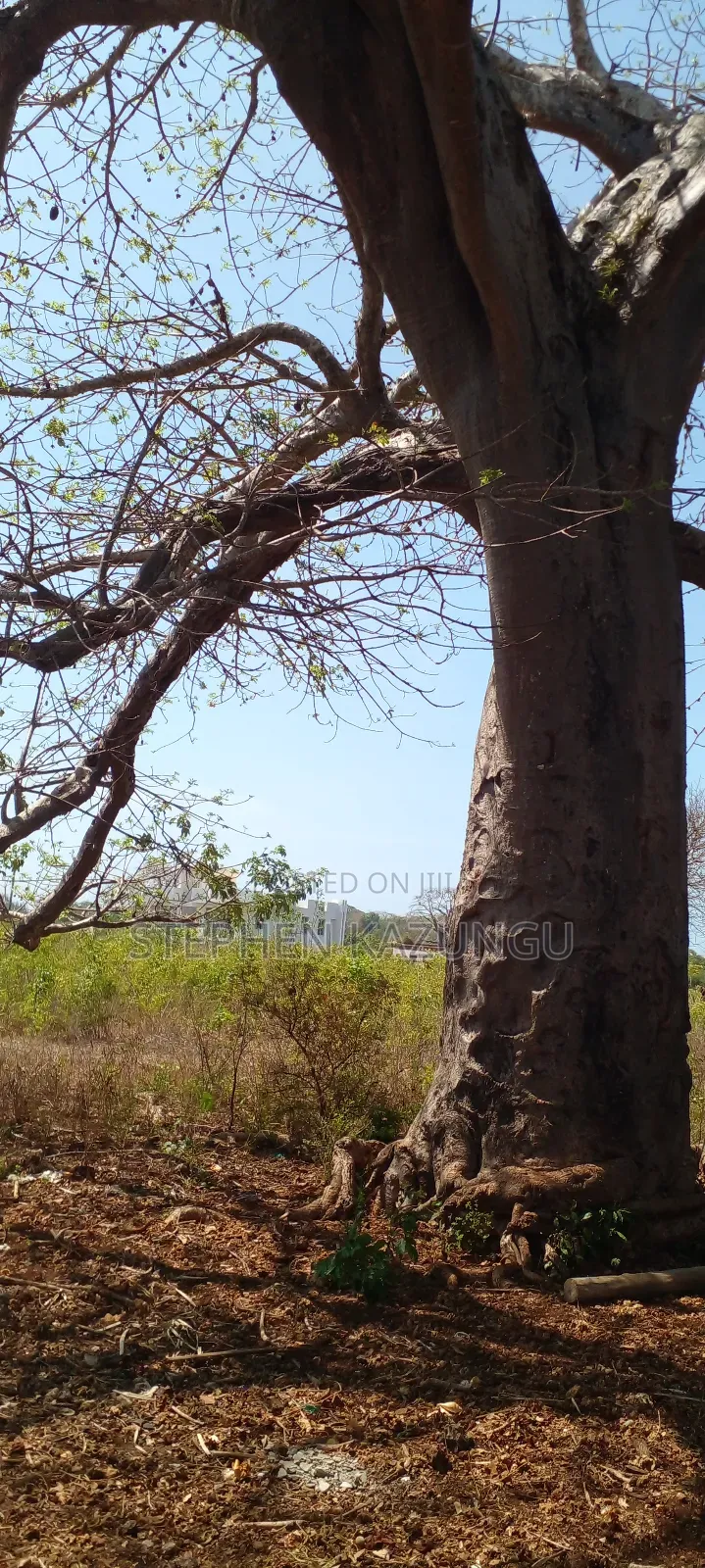 1 1/2 Acre Plot on Sale in Galu Beach.