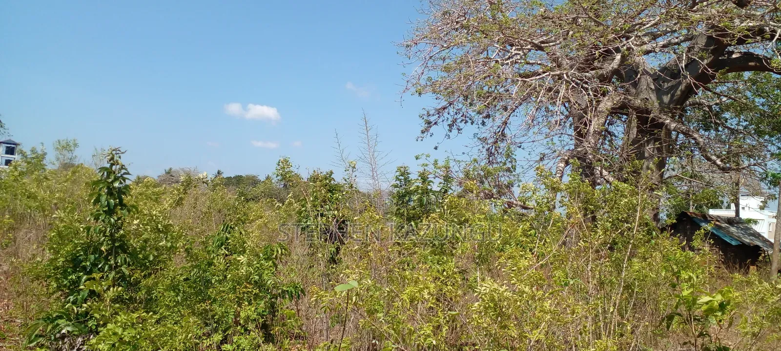 1 1/2 Acre Plot on Sale in Galu Beach.