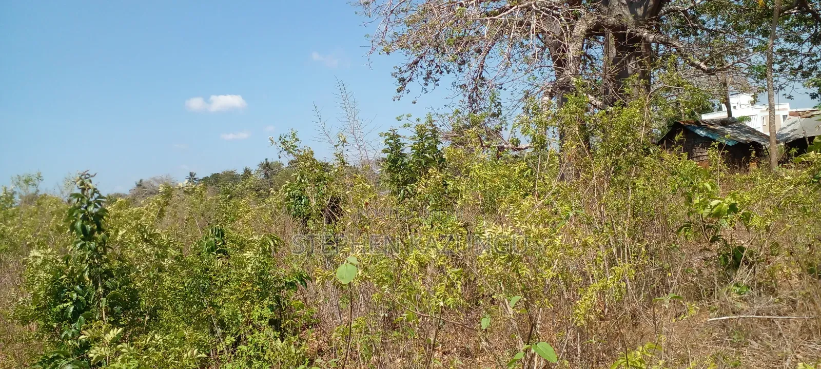 1 1/2 Acre Plot on Sale in Galu Beach.