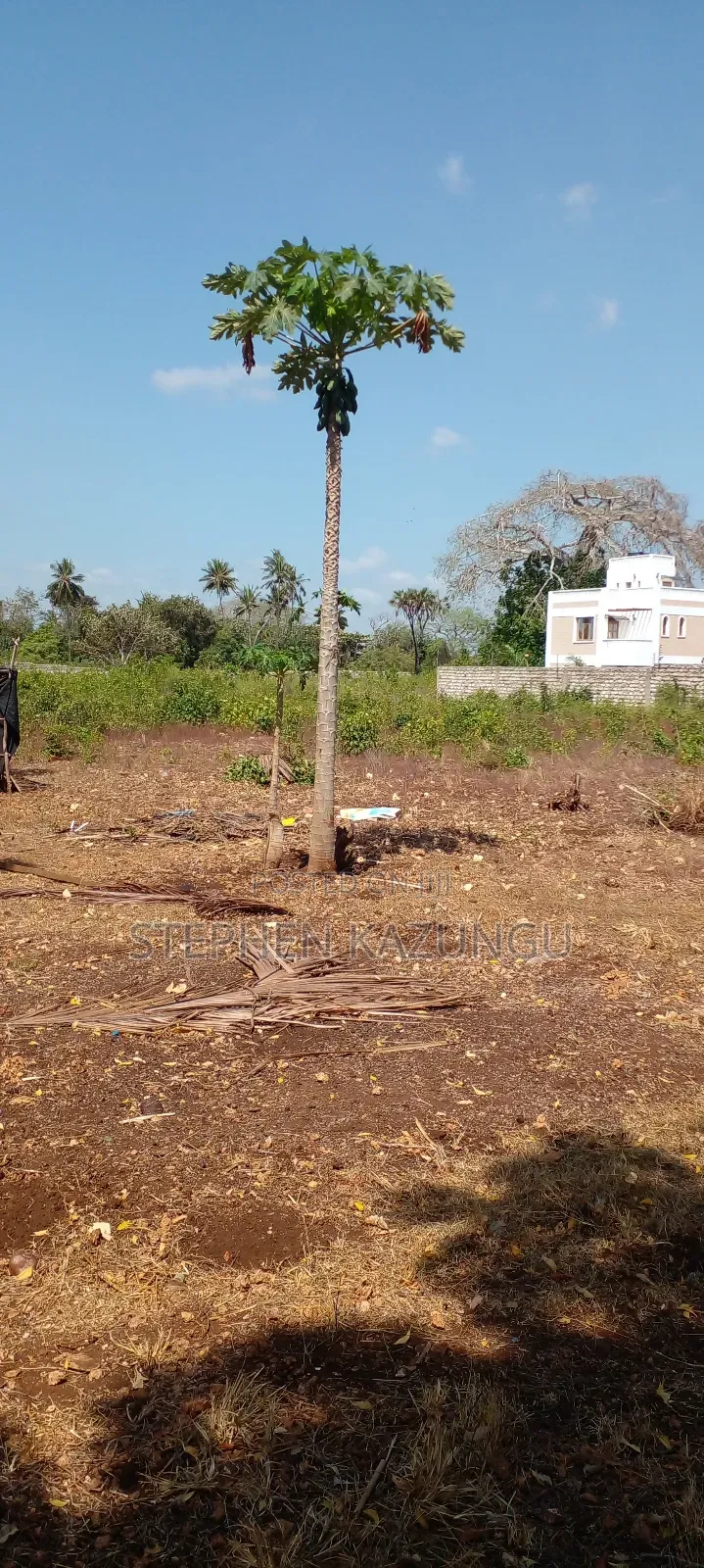 1 1/2 Acre Plot on Sale in Galu Beach.