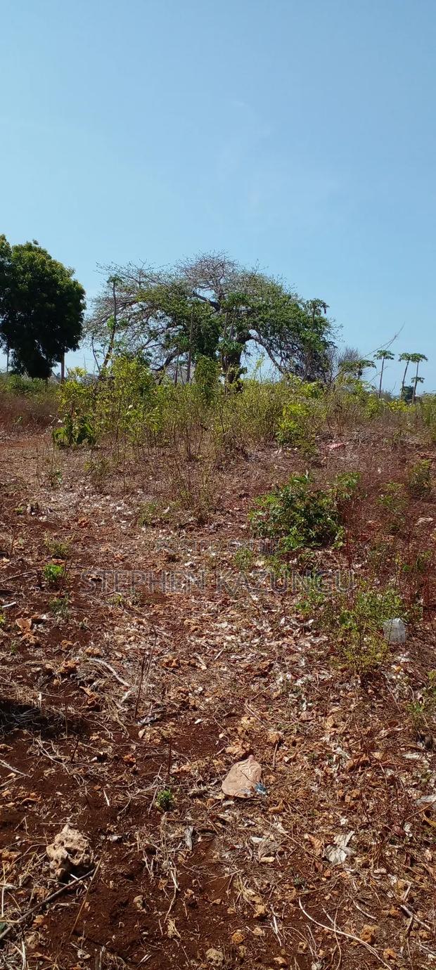 1 1/2 Acre Plot on Sale in Galu Beach. - thumbnail 12