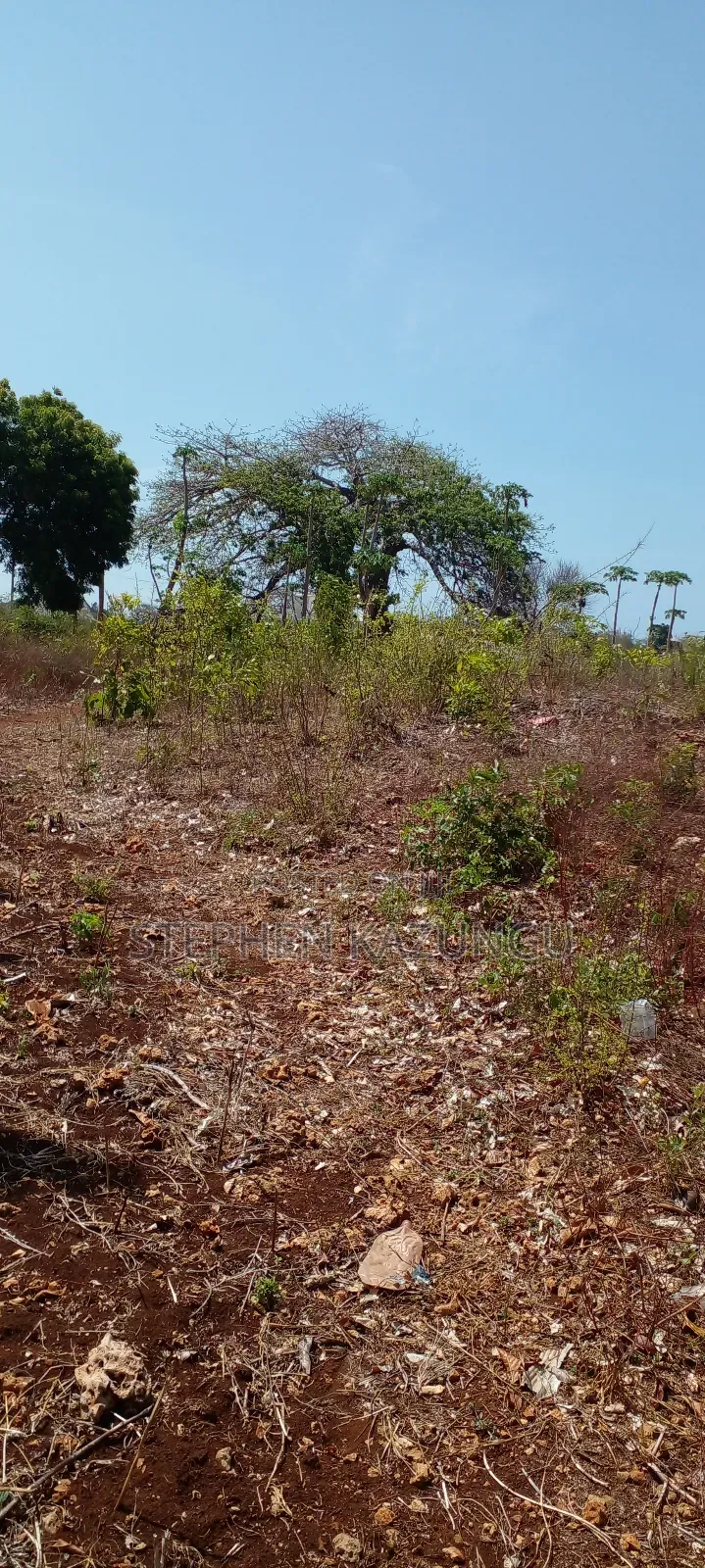 1 1/2 Acre Plot on Sale in Galu Beach.