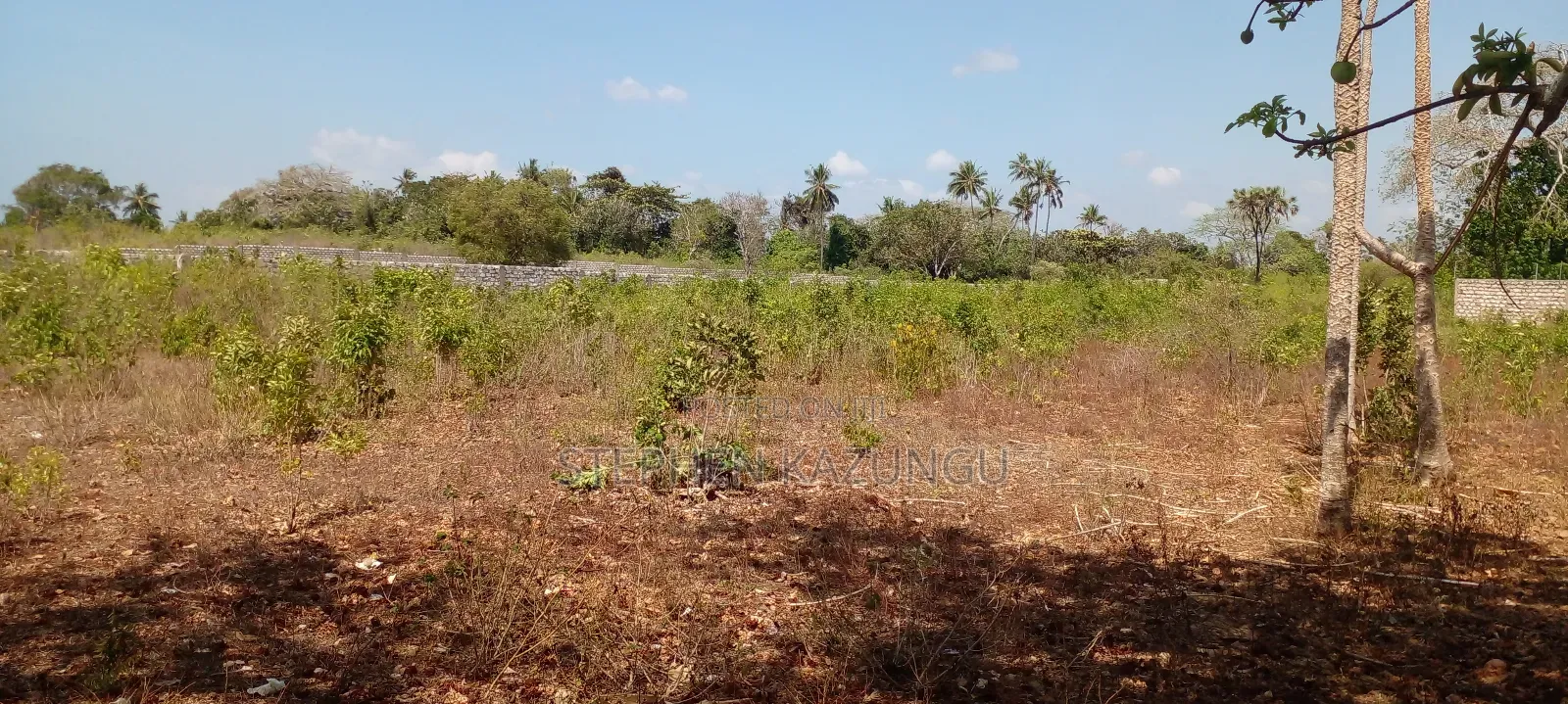 1 1/2 Acre Plot on Sale in Galu Beach.