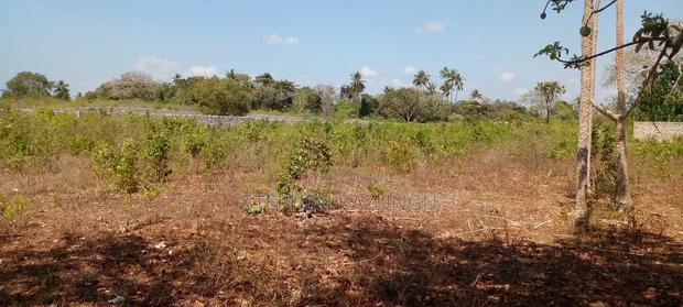 1 1/2 Acre Plot on Sale in Galu Beach. - thumbnail 14