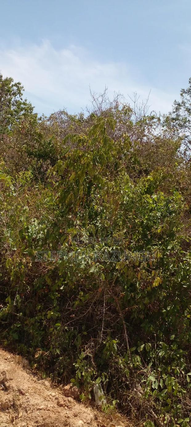 1 1/2 Plot on Sale on 2nd Beach Row, in Galu Beach. - thumbnail 6