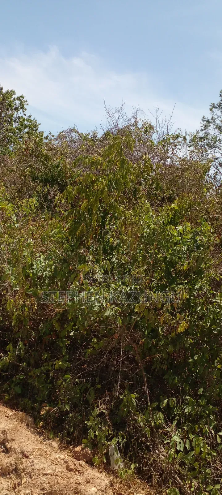 1 Plot on Sale on 2nd Beach Row, in Galu Beach.