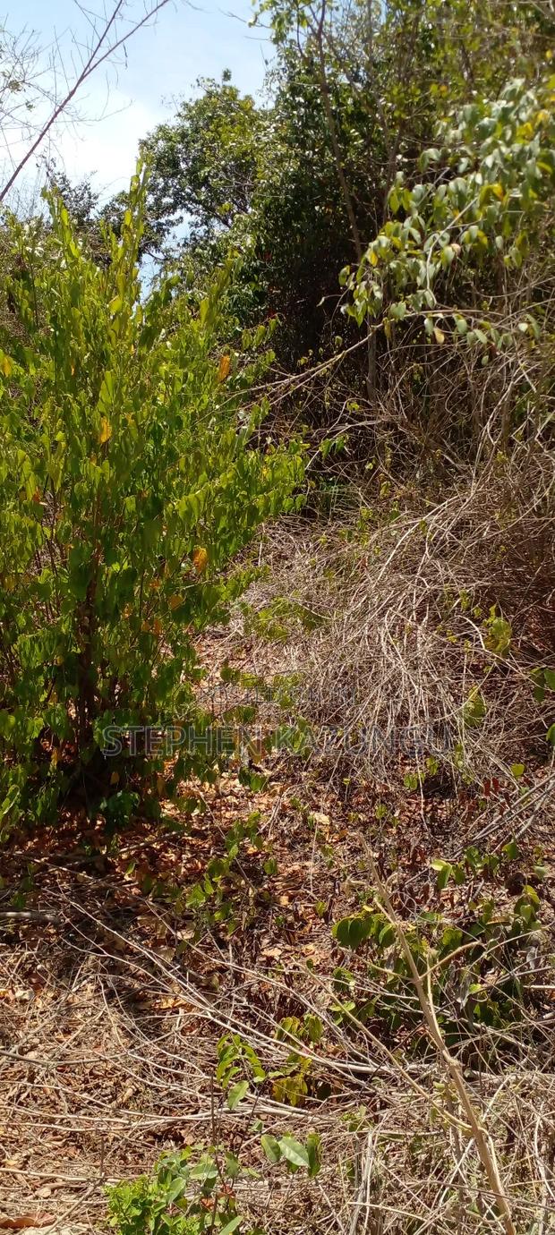 1 1/2 Plot on Sale on 2nd Beach Row, in Galu Beach. - thumbnail 7