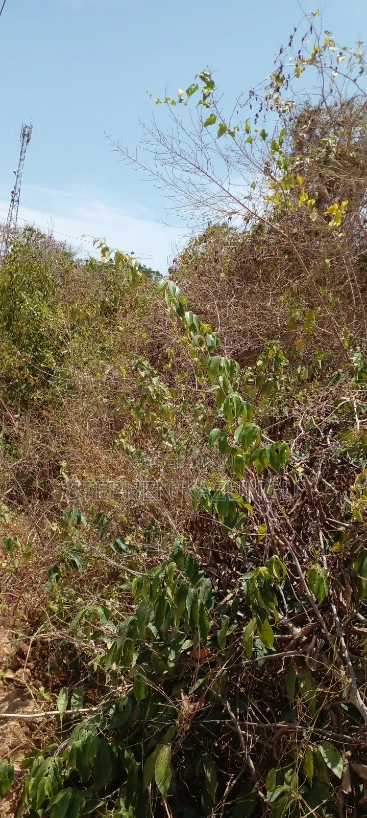 1 Plot on Sale on 2nd Beach Row, in Galu Beach.