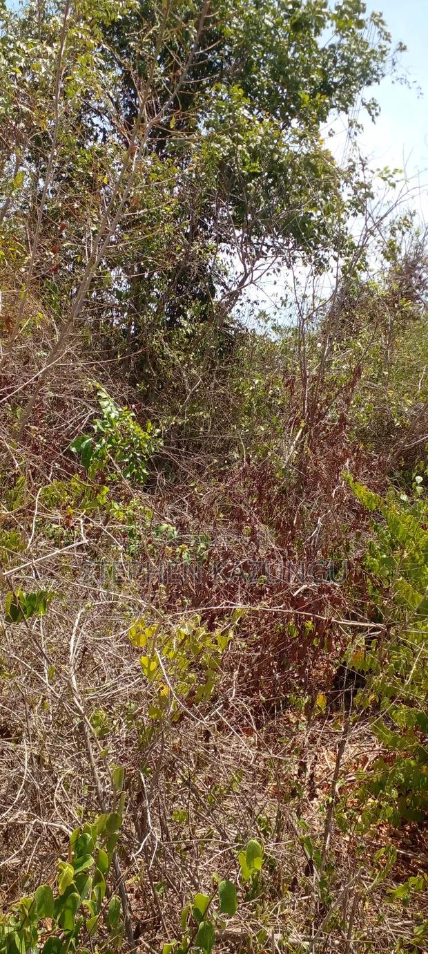 1 1/2 Plot on Sale on 2nd Beach Row, in Galu Beach. - thumbnail 9