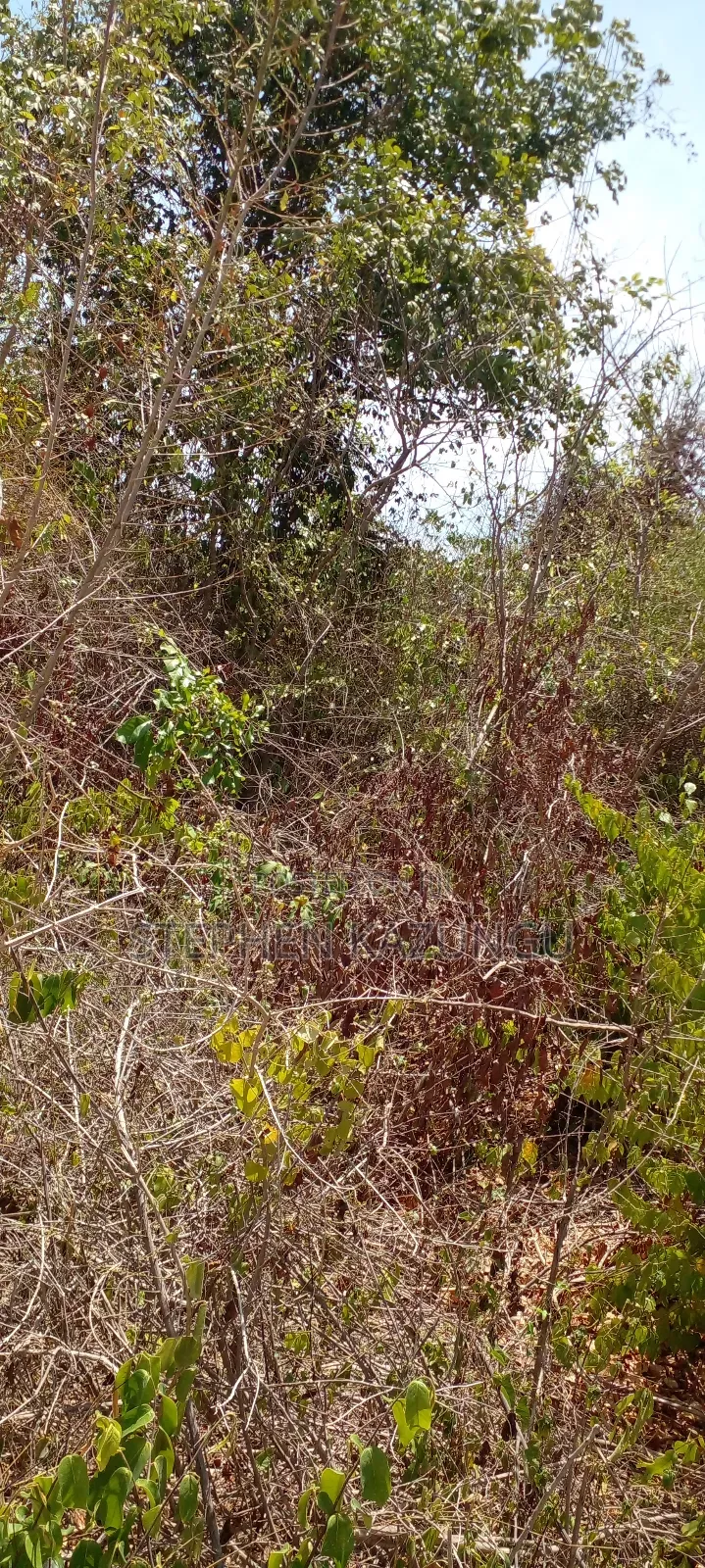 1 Plot on Sale on 2nd Beach Row, in Galu Beach.