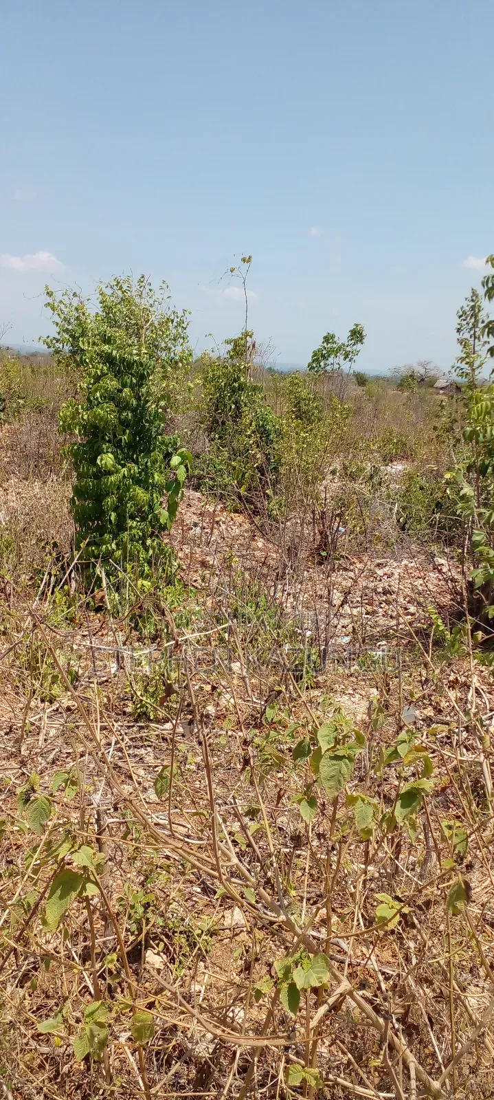 1 Plot on Sale on 2nd Beach Row, in Galu Beach.