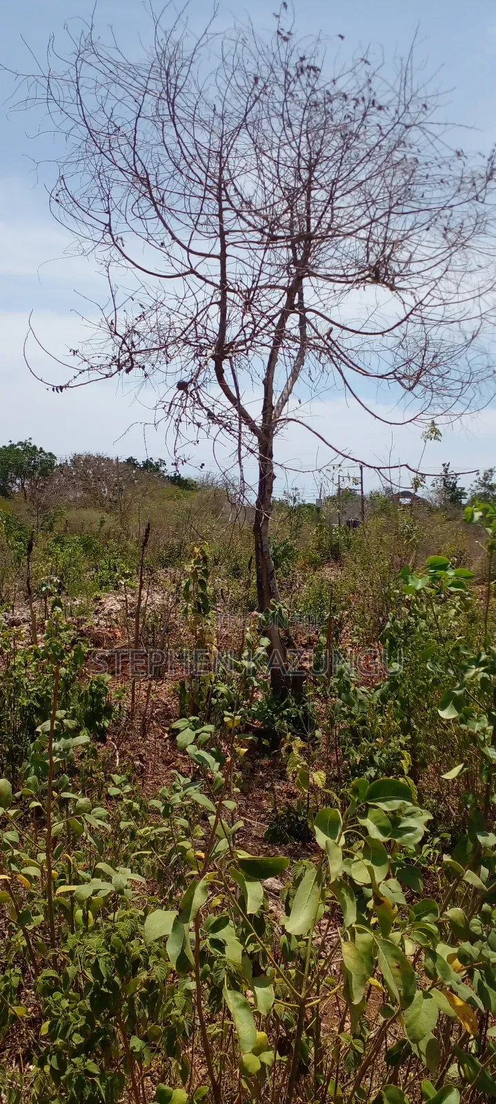 1 Plot on Sale on 2nd Beach Row, in Galu Beach.
