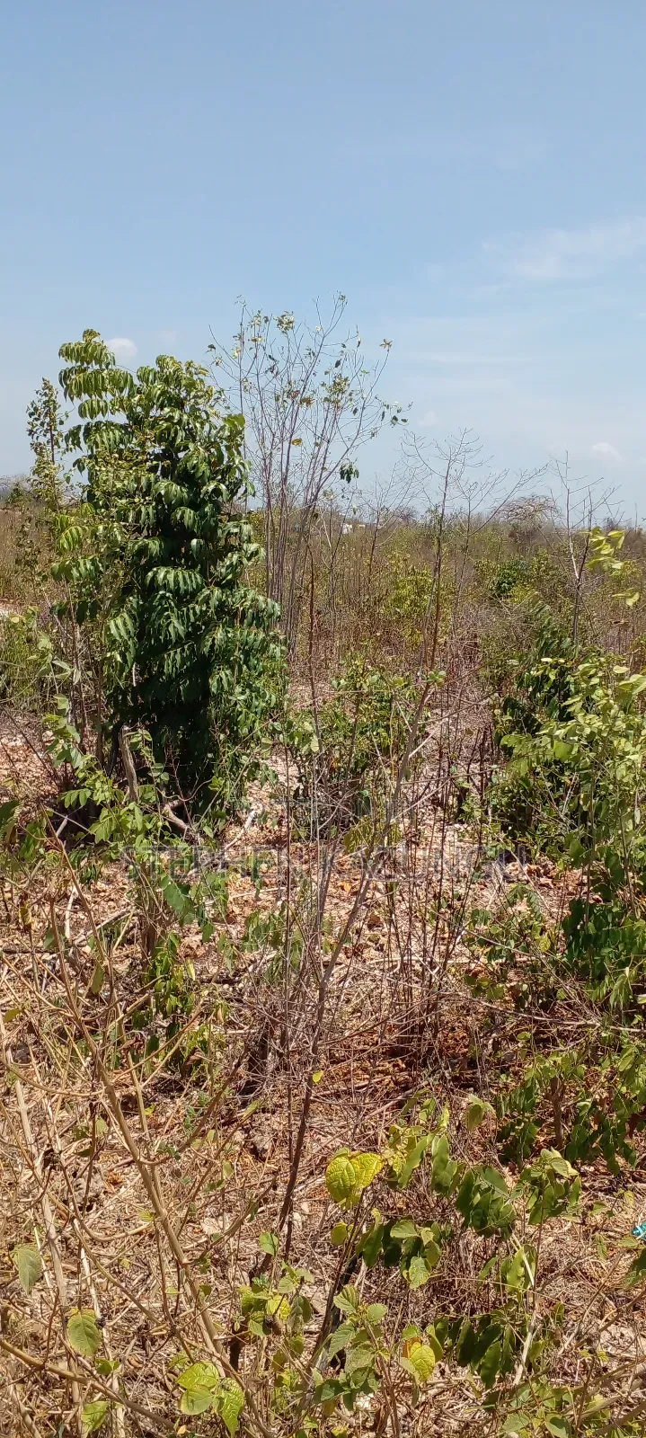 1 Plot on Sale on 2nd Beach Row, in Galu Beach.
