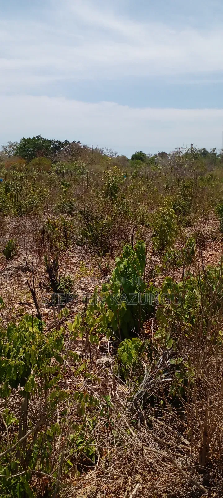 1 Plot on Sale on 2nd Beach Row, in Galu Beach.