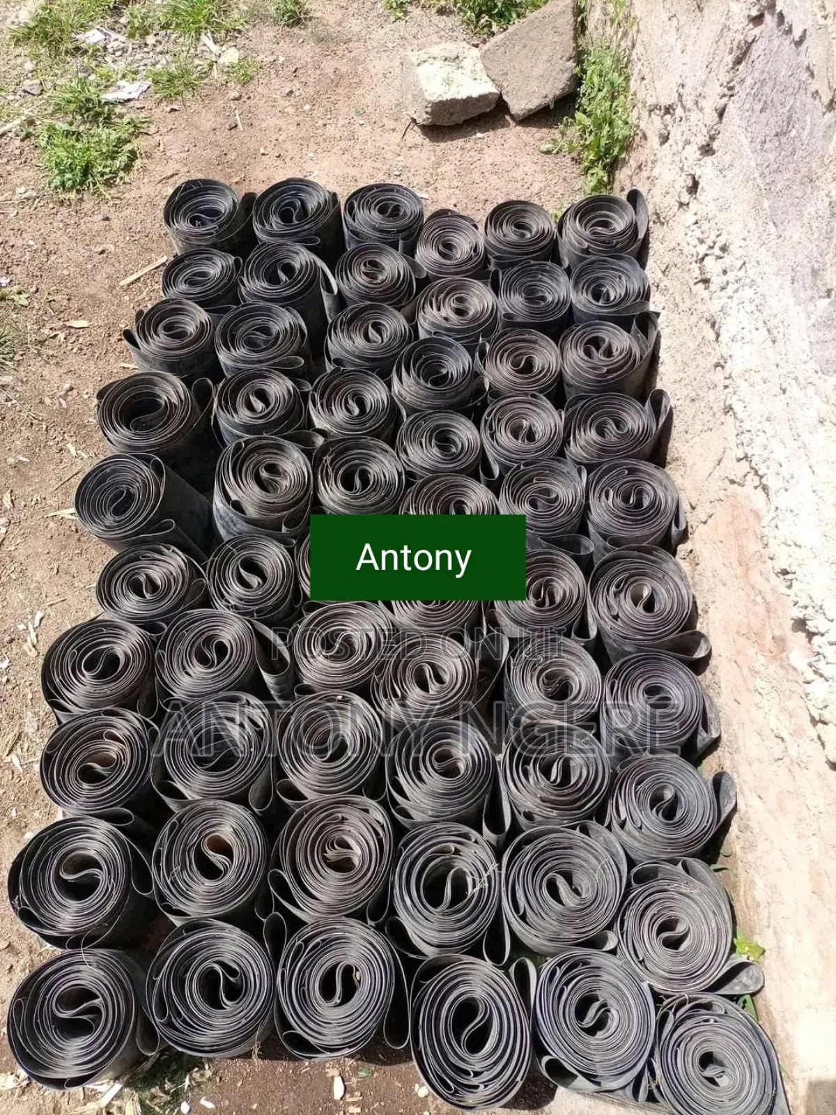 Storey Garden
