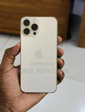 Apple iPhone 13 Pro 256 GB