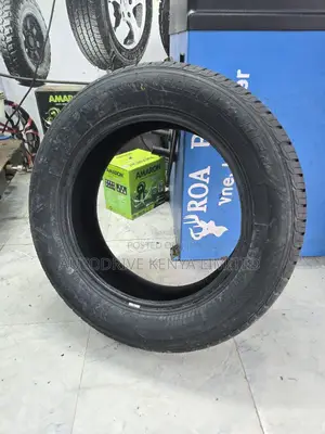 215/60r17 Greenlander Tire
