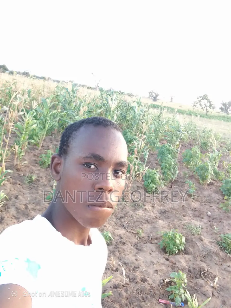 Iam Motivated Adaptable to Work as Gardener
