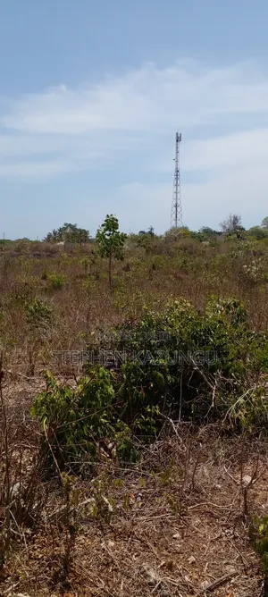 1 Acre Half Plot on Sale in Galu Beach Zone.