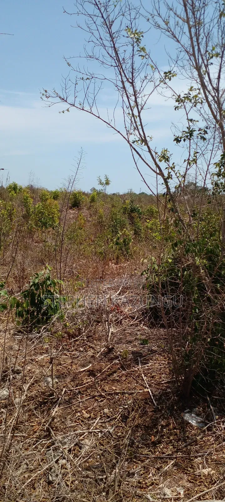 1 Acre Half Plot on Sale in Galu Beach Zone.