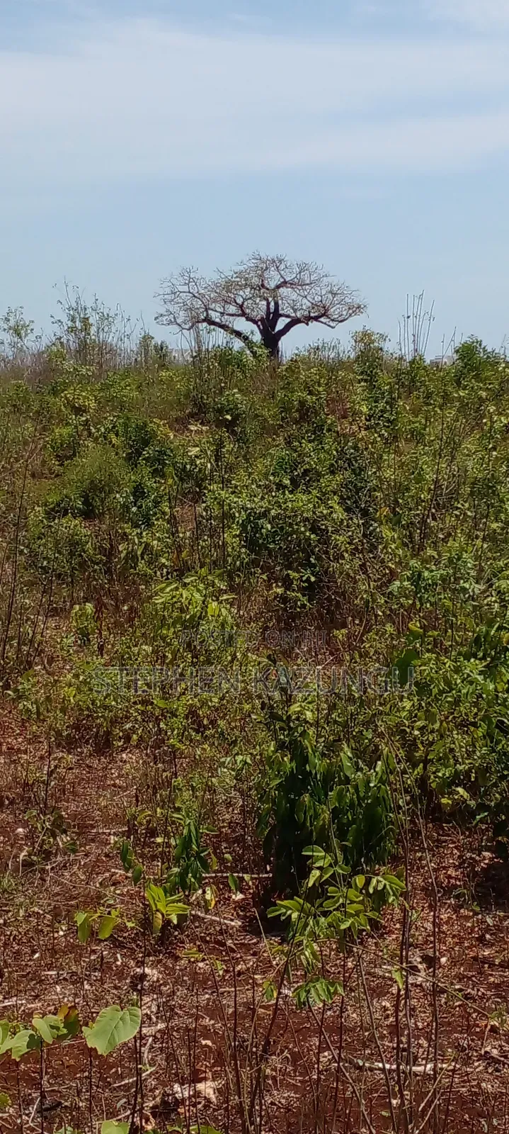 1 Acre Half Plot on Sale in Galu Beach Zone.