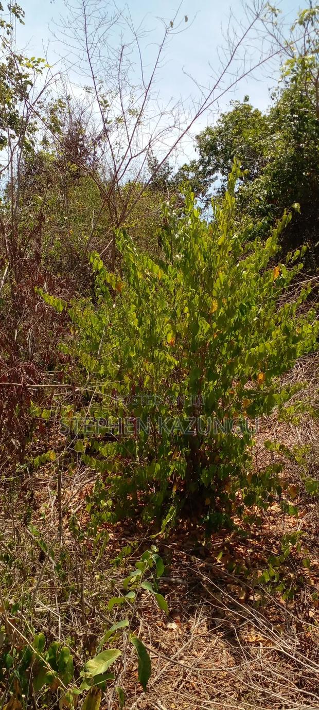 1 Acre Half Plot on Sale in Galu Beach Zone. - main view