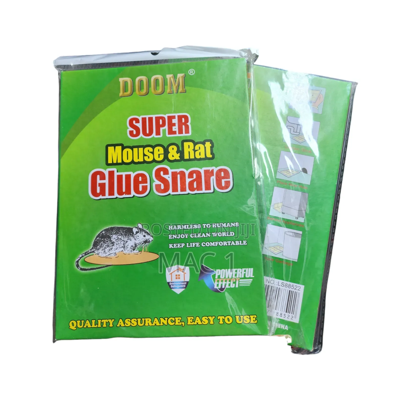Glue Trap Rat Books