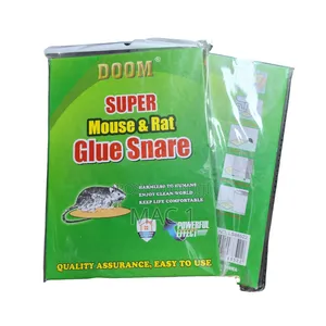 Glue Trap Rat Books