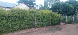3bdrm House in Ukunda Shamu Road for sale