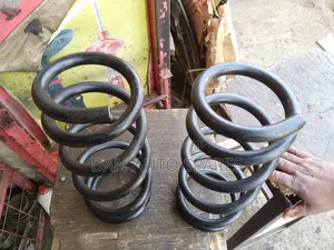 Heavy Duty Springs for Mazda Verisa.