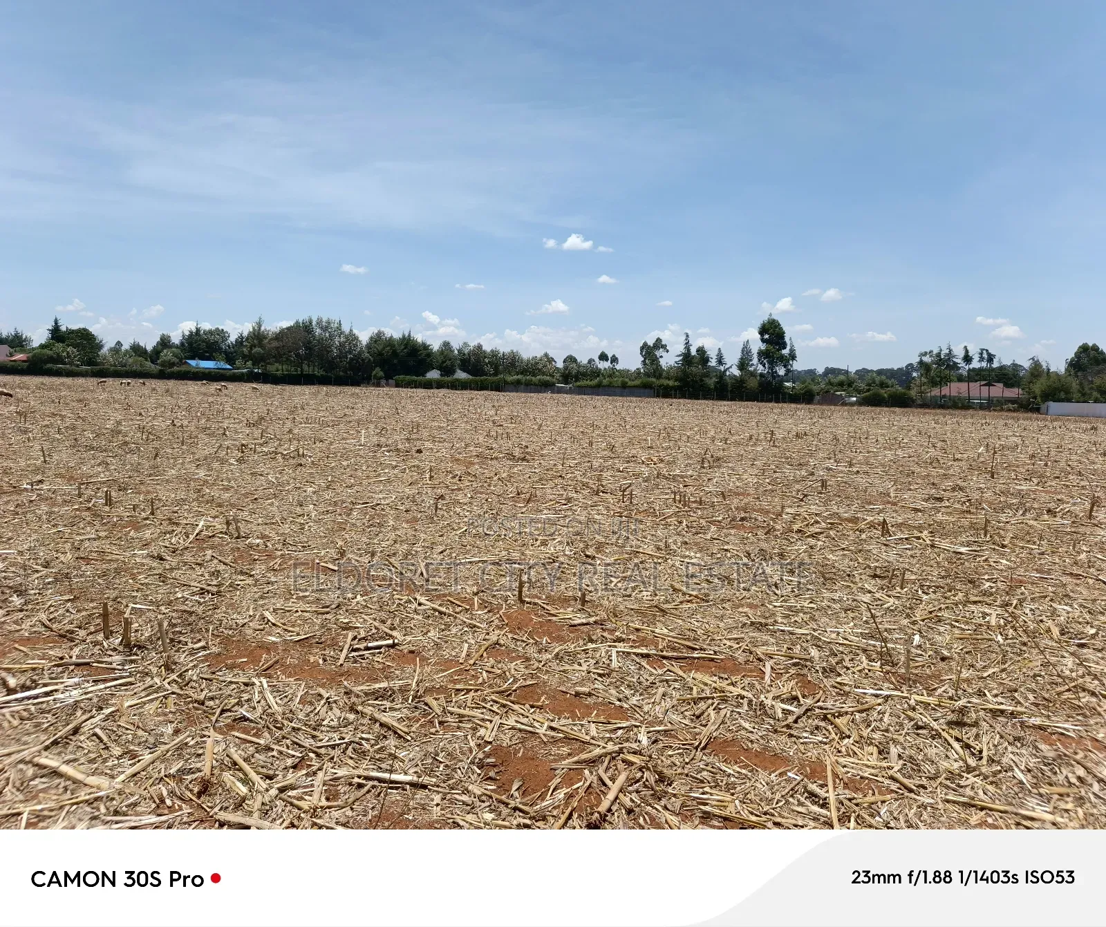 1/8 Plot Marura Chemaluk Area.