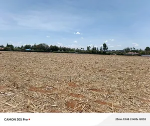 1/8 Plot Marura Chemaluk Area.