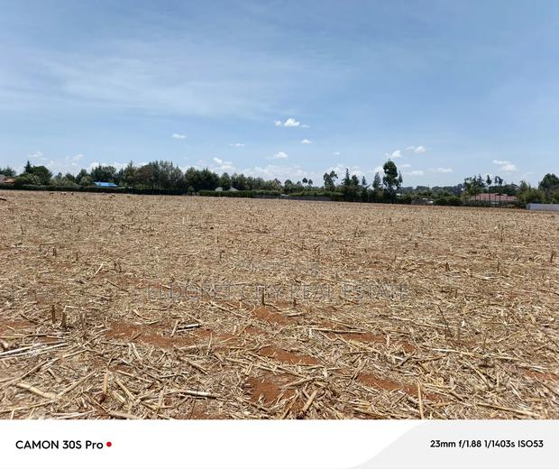 1/8 Plot Marura Chemaluk Area.